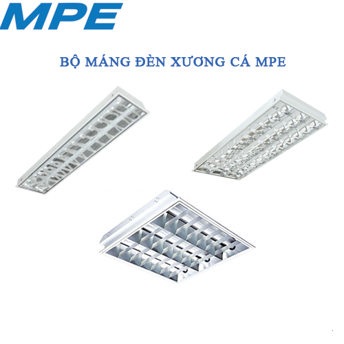 BỘ MÁNG XƯƠNG CÁ